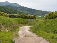 Makabe35c.jpg