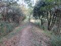Thumbnail for version as of 09:04, 4 December 2024