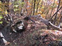 AidaKojinojou (10).JPG