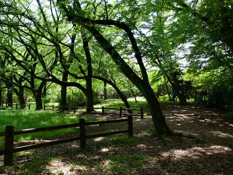 File:Akatsuka5.jpg