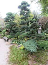 AkizukijouHisanoBukeyashiki (37).JPG