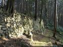 Azuchi east40.jpg