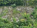 Himejimiddlemoat41.jpg