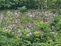 Himejimiddlemoat41.jpg