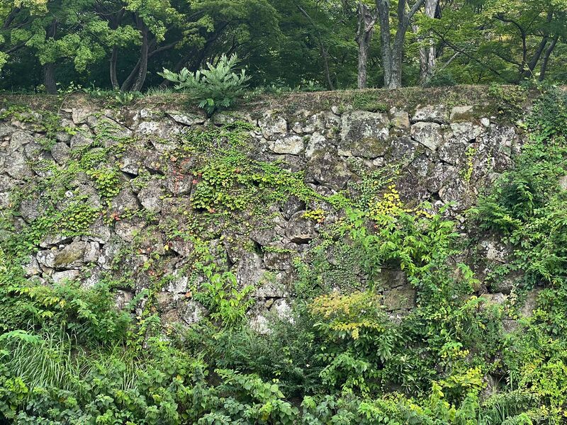 File:Himejimiddlemoat41.jpg