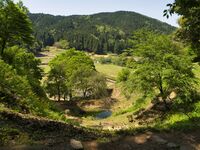 Ichijodani-asakura-yakata19.jpg