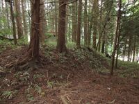 InaYokokawajou (1).JPG
