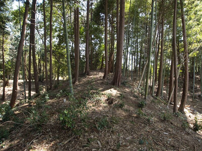 File:Kokashimoyama5.jpg