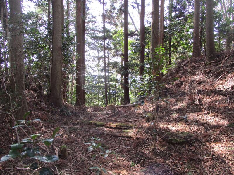 File:Koumyoujou020.jpg