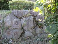 Najimajou (1).JPG