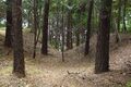 Thumbnail for version as of 13:29, 24 June 2017