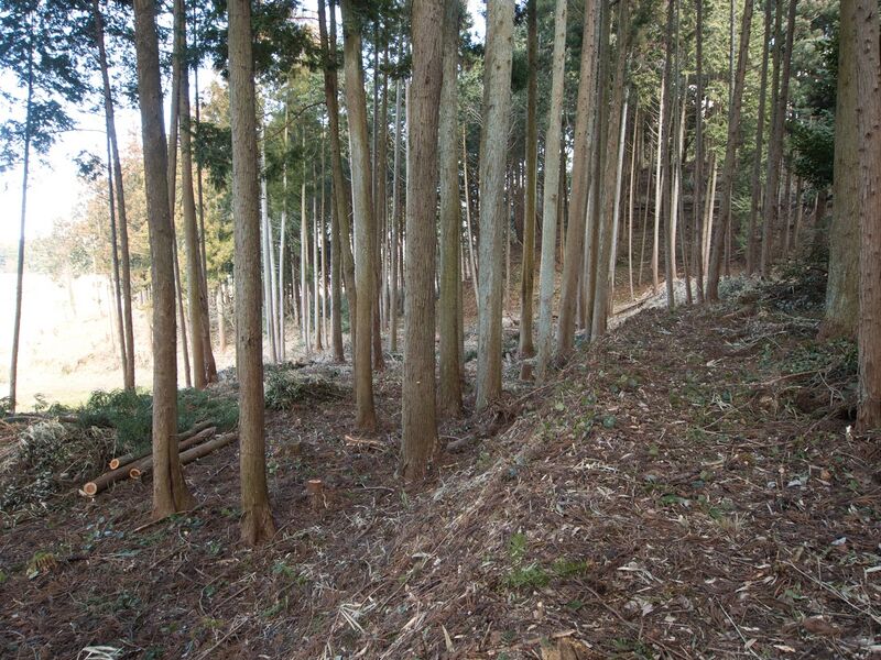 File:Okishikokaiii1.jpg