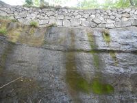 SomaNakamura (15).JPG
