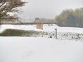Thumbnail for version as of 10:55, 24 January 2021