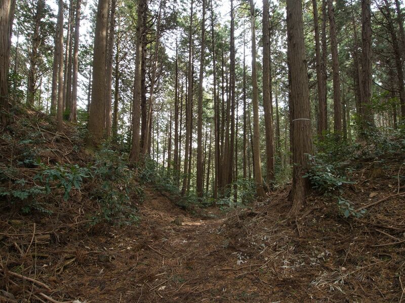 File:Wadakoka30.jpg