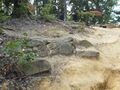 Thumbnail for version as of 08:04, 6 January 2023
