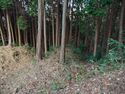 Chihayaskamiakasaka12a.jpg