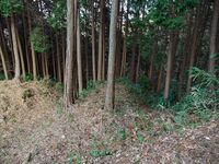 Chihayaskamiakasaka12a.jpg