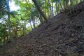 Thumbnail for version as of 13:24, 24 June 2017