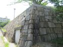 Hanakuma (11).JPG