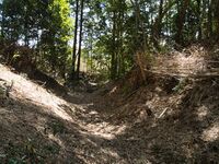 Kokashimoyama11.jpg