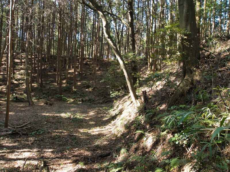 File:Kokashingushi26.jpg