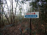 Manago7.jpg