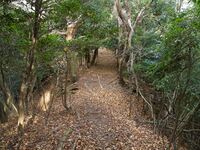Nakaokyoto15.jpg