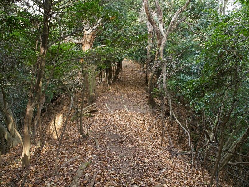 File:Nakaokyoto15.jpg