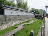 Oguchi (11).JPG