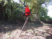 SaijozanJinsho (2).jpg