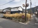 Shingujinya1.jpg