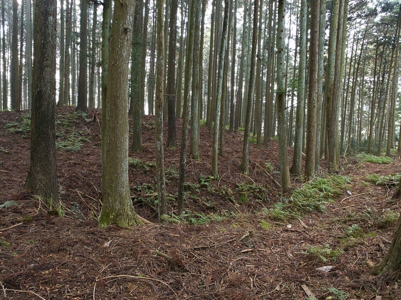 File:Shishiudoyakata12.jpg