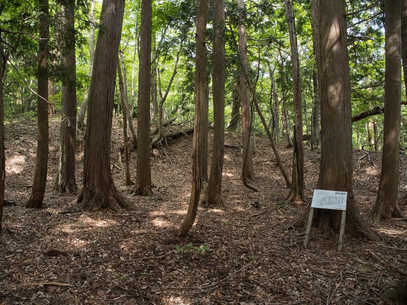 File:Shobudani12.jpg