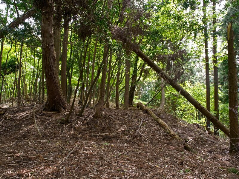 File:Shobudani3.jpg