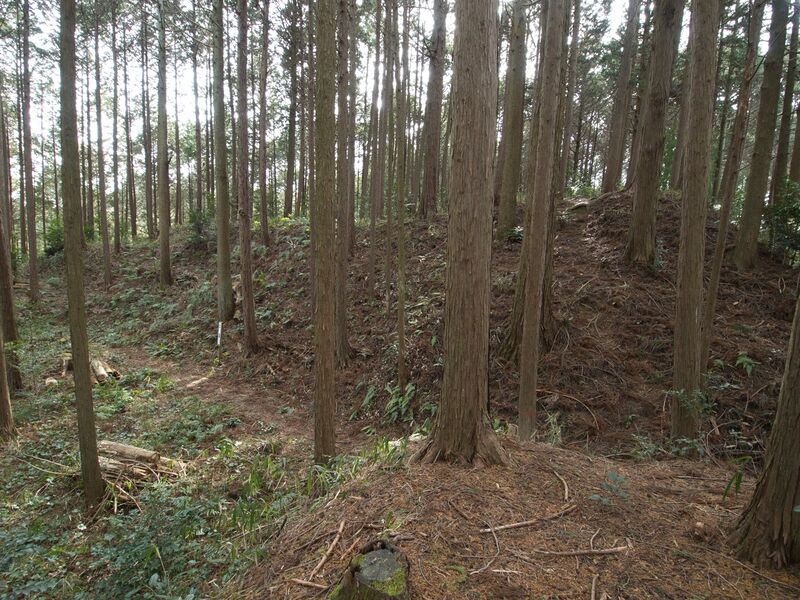File:Wadakoka12.jpg
