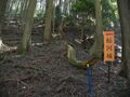 Thumbnail for version as of 08:03, 28 May 2023