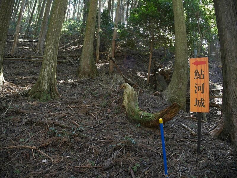 File:Ayukawa13.jpg