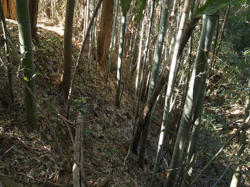 File:Hattori6.jpg