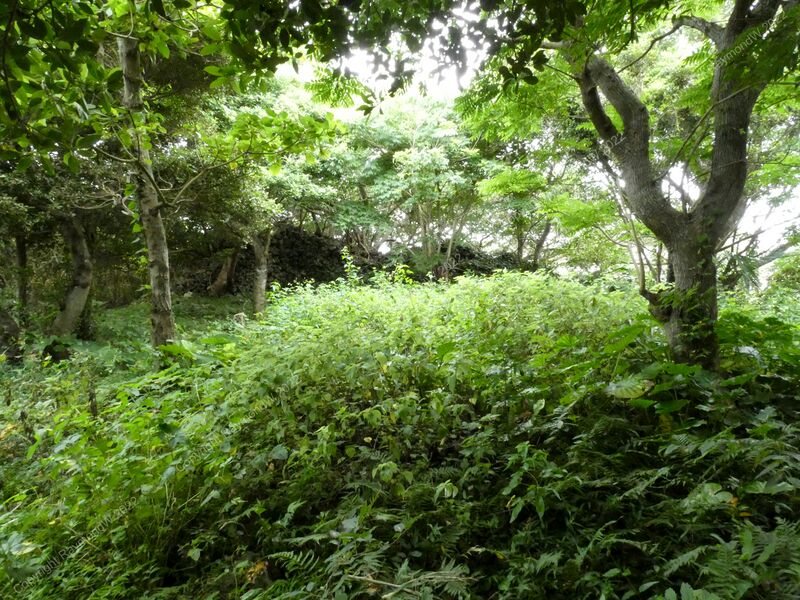 File:Komesu Castle Ray 6.jpg