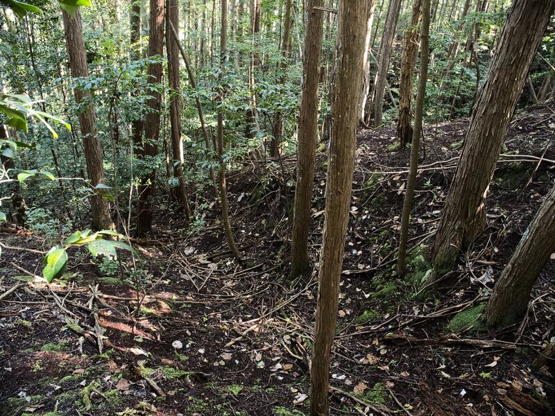 File:Obatatanba16.jpg