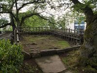 Fukui7.jpg