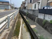 Himejimiddlemoat32.jpg
