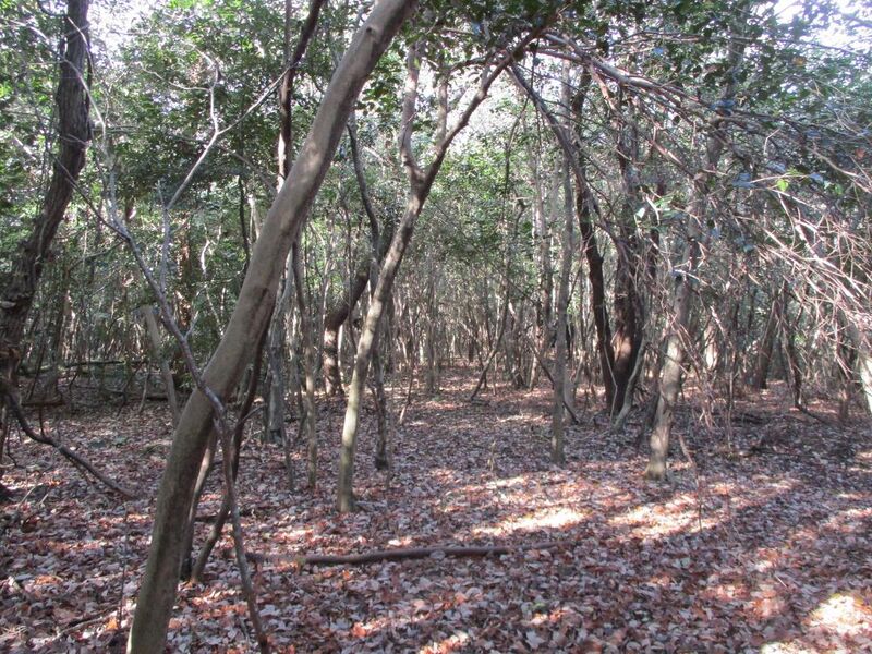 File:Hobonishijou009.jpg