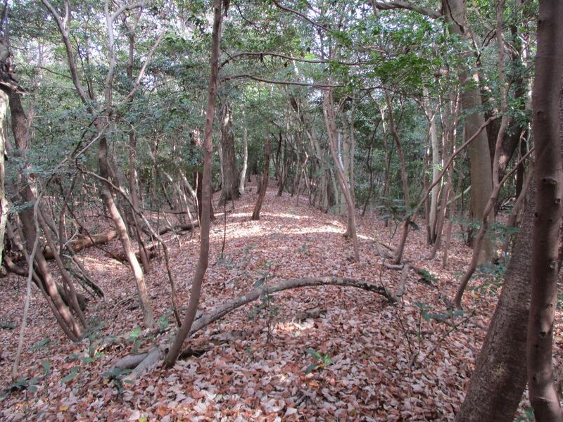 File:Hobonishijou015.jpg