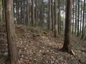 Koideyakatakyoto5.jpg