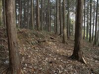 Koideyakatakyoto5.jpg