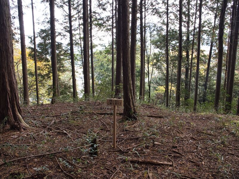 File:Koideyakatakyoto7.jpg
