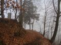 Thumbnail for version as of 20:43, 22 January 2022