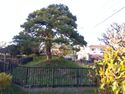 MusashiHourinjiYakata (8).jpg